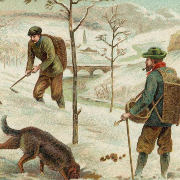 The truffle history - 1700 to 1900