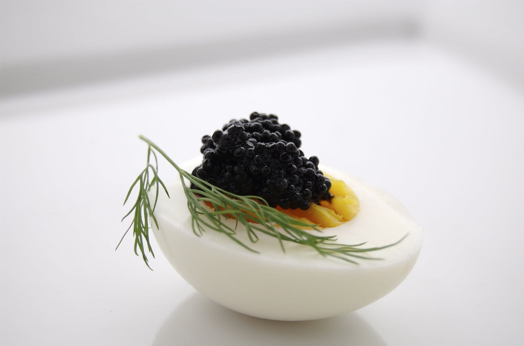 TRUFFLE PERLAGE - pearls of Winter black Truffle juice (t.Melanosporum)  (7.05 Oz) - TARTUFLANGHE USA