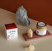 PARMIGIANO REGGIANO TRUFFLE cream - Tartuflanghe USA