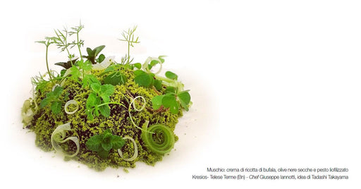 Dallorto® - Pesto powder   (1.06 Oz) - TARTUFLANGHE USA